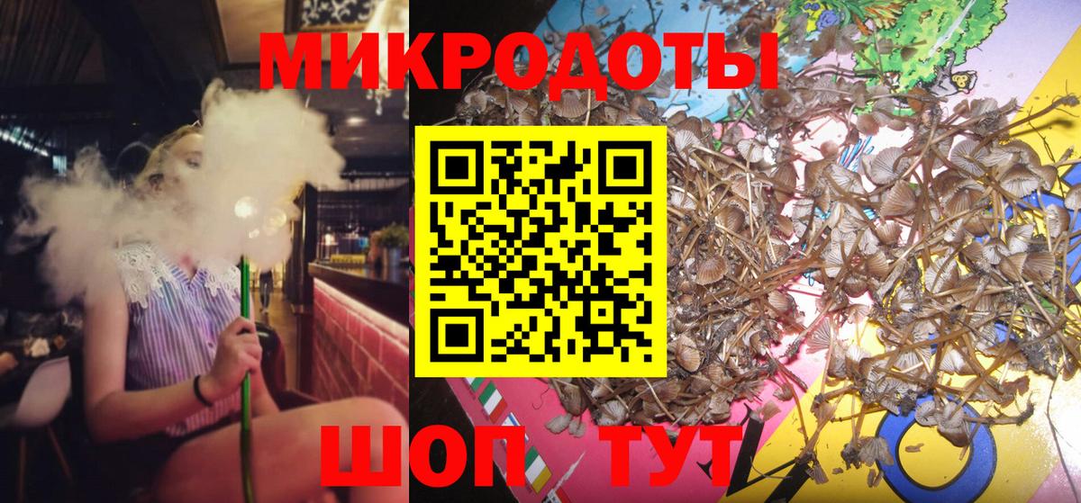 как найти наркотики  Вход с VPN  Псилоцибиновые грибы GOLDEN TEACHER  Знаменск  Псилоцибиновые грибы мицелий 