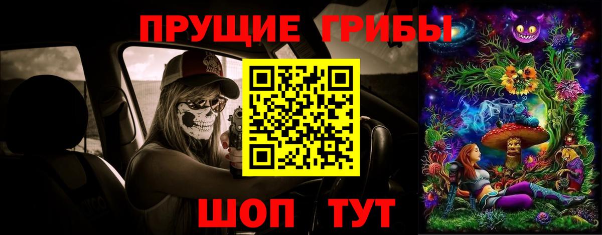 Галлюциногенные грибы Cubensis Знаменск